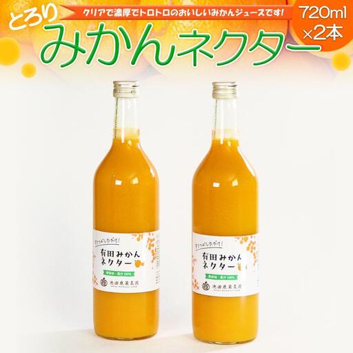 とろり みかんネクター 720ml×2本［IKE225］