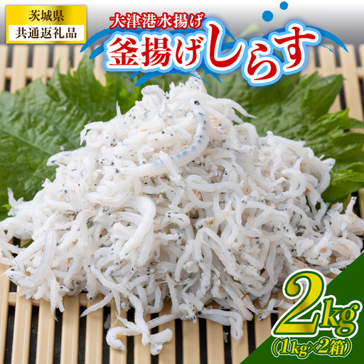 大津港水揚げの釜揚げしらす2kg(1kg×2箱) (茨城県共通返礼品:北茨城市) (BC004)