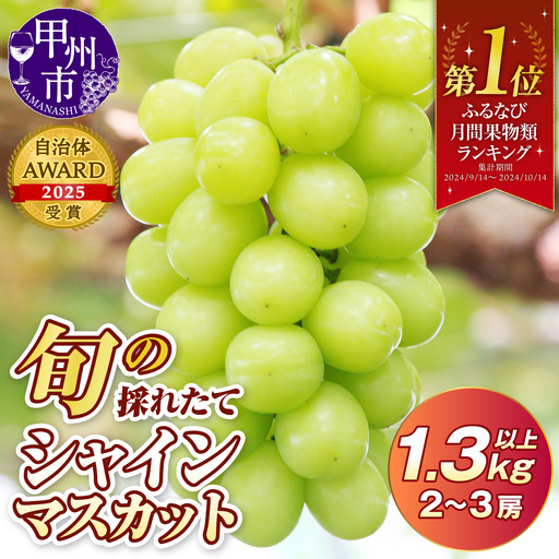旬の採れたて大粒シャインマスカット1.3kg以上(2房〜3房)[2027年発送](HO)B12-150 シャインマスカット フルーツ