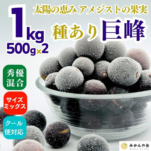 冷凍 種あり 巨峰 約1kg 秀優混合 サイズミックス 和歌山県産 産地直送 ぶどう クール便  【みかんの会】  巨峰