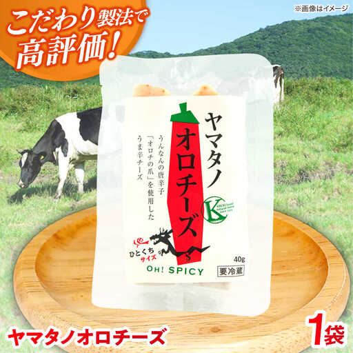 チーズ ヤマタノオロチーズ 40g [AIBH020]