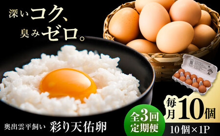 [3回定期便]彩り天佑卵 平飼いたまご 10個 [AIDL007] 卵