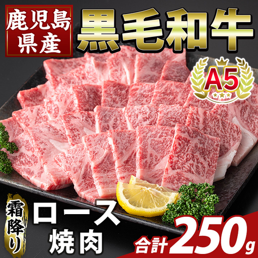 K-482-A 鹿児島県産A５等級黒毛和牛霜降り上ロース焼肉(計250g)【ふるさと産直バザール】霧島市 牛肉 国産 鹿児島県産 ロース 焼肉 肉 精肉