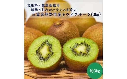 【自然栽培】三重県熊野市産キウイフルーツ(ヘイワード)(約3kg)【kmys0023A】