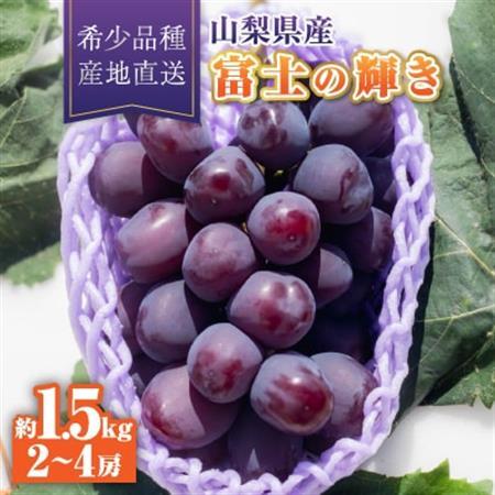 【2026年発送】富士の輝き1房約1.5kg(2～4房)【配送不可地域：離島】【1613571】