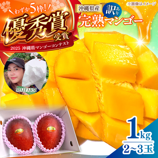 マンゴー 訳あり 約1kg マンゴー 沖縄