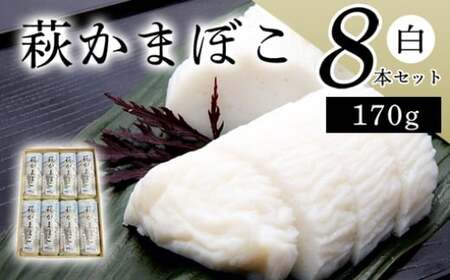 エソ100％「萩かまぼこ」170g 白8本 【化粧箱入】（国産鮮魚エソ100％）