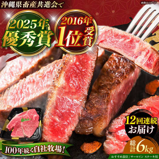 サーロインステーキ 【全12回定期便】佐渡山牛 サーロイン＆希少部位 牛肉 500g 和牛 BCBC016