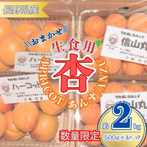[2027年先行予約]あんず おまかせ生食用(ハーコット・信山丸・おひさまコット・ニコニコット) 計約2kg | あんず
