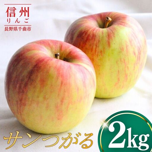 [2027年先行予約]りんご サンつがる 約2kg| りんご