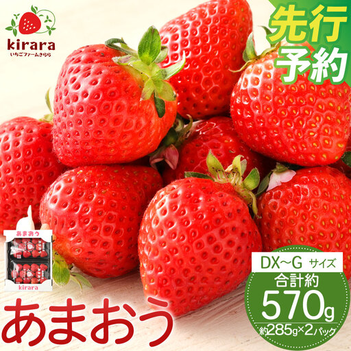 あまおう 約570g 約285g×2パック いちごファームきらら 冷蔵【ふくおかエコ農産物認証】【2027年2月上旬-3月下旬発送予定】
