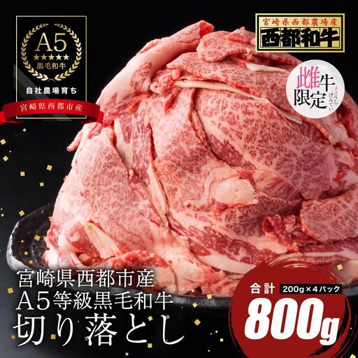 [最高品質のA5等級 西都和牛]黒毛和牛切り落とし 800g(200g×4)オレイン酸含有率55%以上 小分け カミチクファーム[62-1a]
