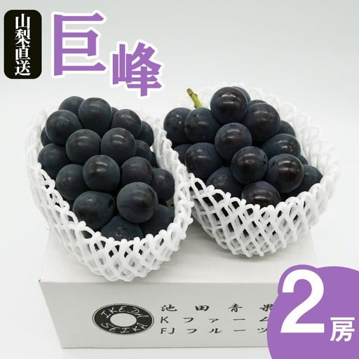 厳選 池田青果 巨峰 1.0kg以上 2房入り【2027年発送】（IS）B-468 巨峰 フルーツ