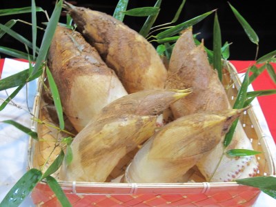 京筍(特選上物3kg)筍