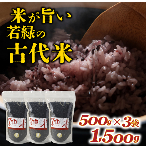 若緑の古代米 500g×3袋 計1.5kg / 黒米