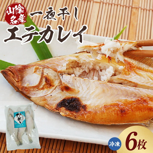 魚 エテカレイ 一夜干し 6枚 干物 下処理不要 74-11