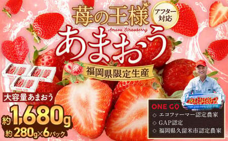 【予約受付】選べる大容量あまおう 1,680g 大粒 不揃い 選べる大容量あまおう （2L,グランデ,DX デラックス）減農薬 あまおう いちご 高級 いちごあまおう イチゴ 苺 フルーツ 果物 ふるさと納税くだもの amaou 福岡県 【2027年3月上旬～下旬発送予定】
