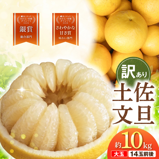 [先行予約]文旦 家庭用大玉 10キロ 10kg(3Lサイズ以上〜:14玉前後)[2027年1月20日から発送]皮むき器付き 高知県土佐市 [土佐水谷農園] [BQBD009]