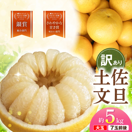 【先行予約】文旦 家庭用大玉 5キロ 5kg（3L〜上限なし：7玉前後）〈2027年1月20日から発送〉皮むき器付き 高知県土佐市 【土佐水谷農園】 [BQBD008]
