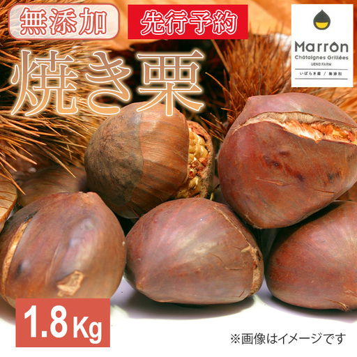 618 茨城県産焼き栗 1.8kg(300g×6個入)【ウエノファーム】