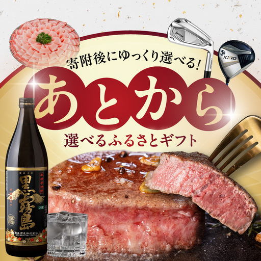 あとからセレクト【ふるさとギフト】５０万円〔ASG-500000〕_(都城市) 後から選べる返礼品 ギフト ギフトポイント カタログ カタログギフト 選べるカタログ あとから選べる あとから セレクト ギフト券 お取り寄せ ふるさとギフト