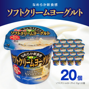 愛知ヨーク ソフトクリームヨーグルト 20個入 [108A07]