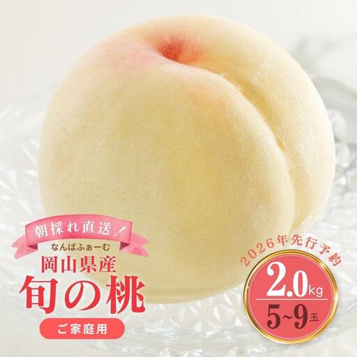 【2026年先行予約】［なんばふぁーむ］岡山県産 旬の桃 2.0kg（5～9玉）［ご家庭用］｜桃 もも モモ フルーツ 果物 朝採り旬 岡山県産 産地直送 産直 送料無料 鏡野町