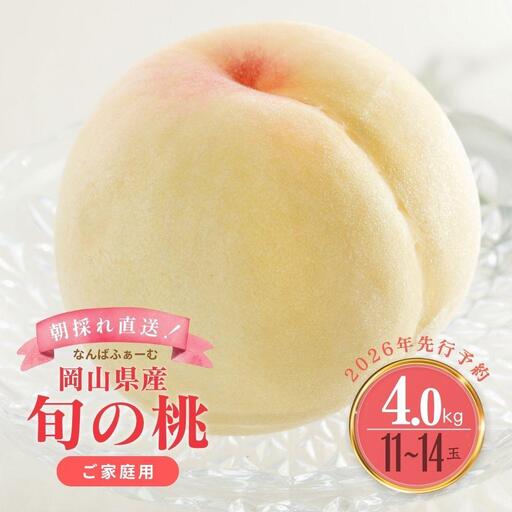 【2026年先行予約】［なんばふぁーむ］岡山県産 旬の桃 4.0kg（11～14玉）［ご家庭用］｜桃 もも モモ フルーツ 果物 朝採り旬 岡山県産 産地直送 産直 送料無料 鏡野町