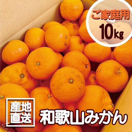 【訳あり】和歌山みかん約9.5kg+補償分約500g サイズ混合 11月より順次発送 訳ありみかん 【red1】