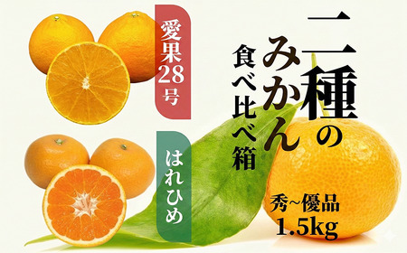 [早期予約受付中!2026年12月より順次発送]二種のみかん食べ比べ箱 [愛果 28 号・はれひめ] 約 1.5kg 秀~優品 みかん 先行予約 蜜柑 柑橘 果物 くだもの フルーツ お取り寄せ グルメ 期間限定 数量限定 人気 おすすめ 愛媛県 松山市 