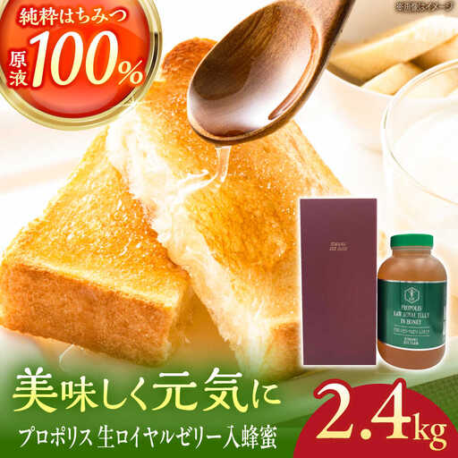 蜂蜜 コハマのハチミツ プロポリス 生ローヤルゼリー入蜂蜜 2.4kg×1本   BCAQ008
