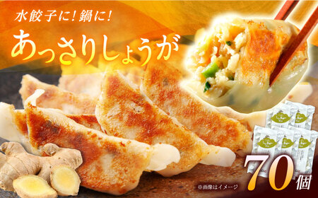 【5パック】餃子屋ヒロの しょうが餃子 ぎょうざ[BDAS006-3]