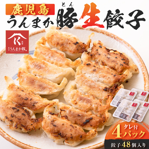 鹿児島うんまか 豚 生餃子 4パック（ 餃子 48個入り・ タレ付 ） K005-003_01 肉 豚肉 惣菜 総菜 冷凍
