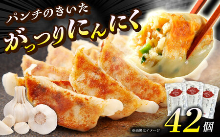 【3パック】餃子屋ヒロの がっつりにんにく餃子 ぎょうざ [BDAS004-2]