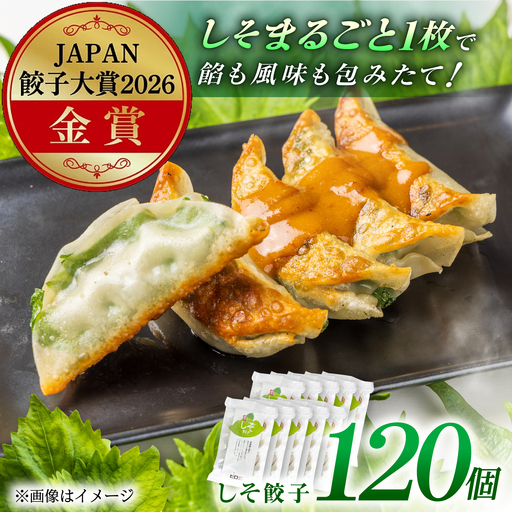 【10パック】餃子屋ヒロの 人気のしそ餃子 ぎょうざ[BDAS003-4]