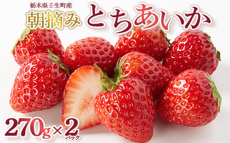 [先行受付]とちあいか 約270g×2パック | いちご ※2027年1月〜発送