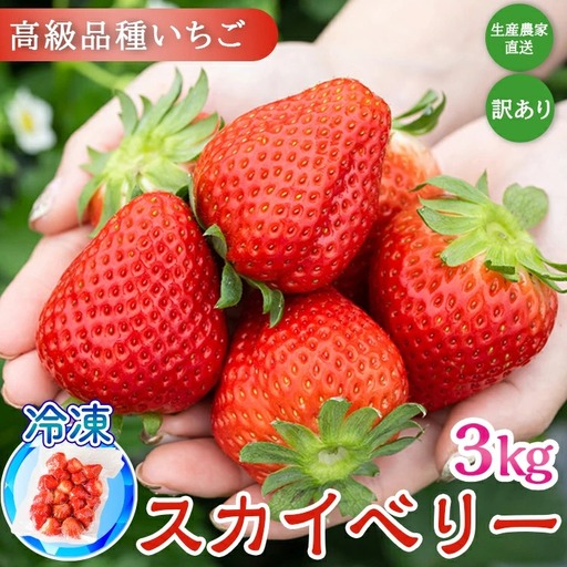 生産農家直送 高級品種☆無選別訳あり 冷凍 いちご 栃木県壬生町産スカイベリー3kg（500g×6）｜果物 