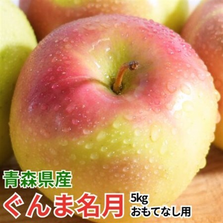 【27年2月出荷予定】平均糖度13度以上! ぐんま名月 約5kg おもてなし用_果物・フルーツ りんご  リンゴ 林檎_【配送不可地域：離島・沖縄県】【1612885】