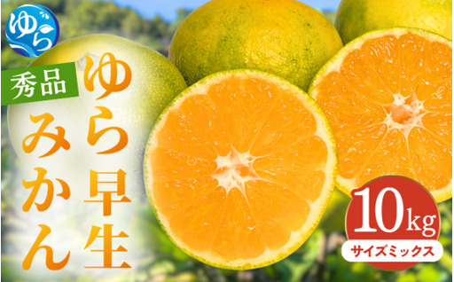 ゆら早生みかん 秀品 サイズミックス 10kg 贈答用※2026年10月上旬～11月中旬頃に順次発送予定/ ゆら早生 柑橘 極早生 フルーツ 果物 くだもの 食品 人気 おすすめ 送料無料 由良町 【ksmt003-r-mix-10A】