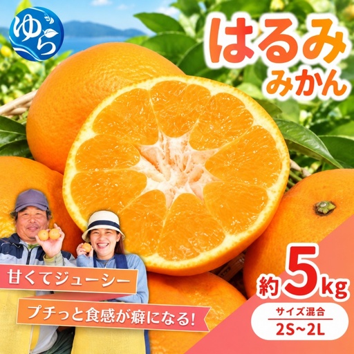 はるみ みかん 5kg S～4Lサイズ混合 / くだもの 甘い 柑橘 果物 和歌山 ※2027年2月上旬～2月中旬頃に順次発送予定【nktn013-r-5A】