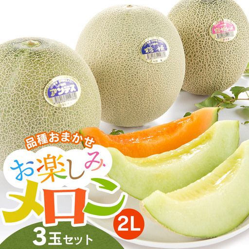 お楽しみメロン 2Lサイズ3玉セット 山形県鶴岡市産 令和9年産 JA鶴岡 K-936