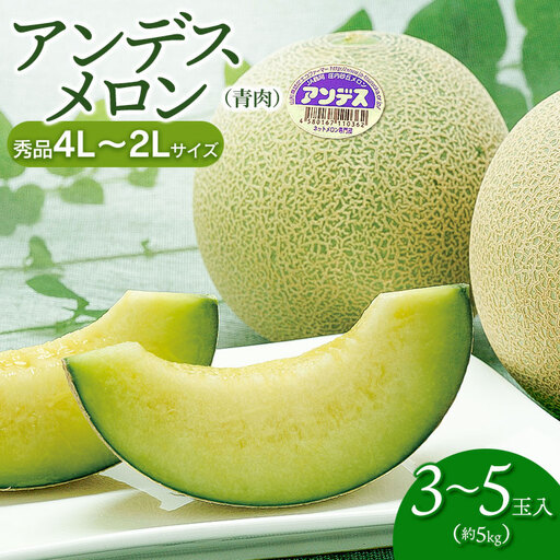 アンデスメロン (3～5玉) 秀品 4L～2L 令和9年産 K-939　JA鶴岡