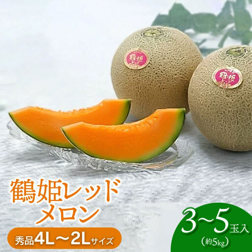 鶴姫レッドメロン（3～5玉） 秀品 4L～2L 令和9年産 K-943　JA鶴岡