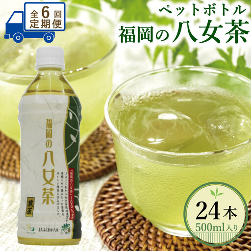 【全6回毎月定期便】八女茶 煎茶ペットボトル 500ml×24本