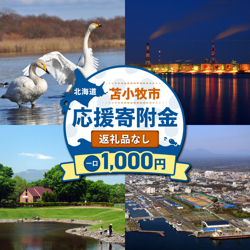 北海道 苫小牧市 応援寄附金 （ 返礼品なし ） 1,000円 T000-001-01 応援 返礼品無