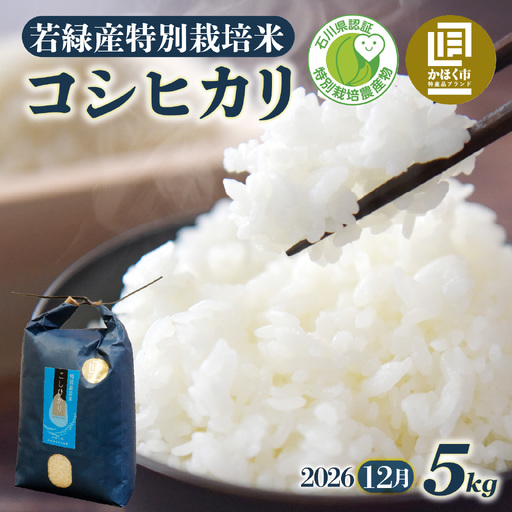 【先行予約】こしひかり 5kg【2026年12月発送】｜ コシヒカリ お米