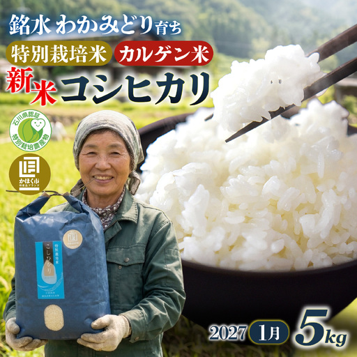 【先行予約】こしひかり 5kg【2027年1月発送】｜ コシヒカリ お米