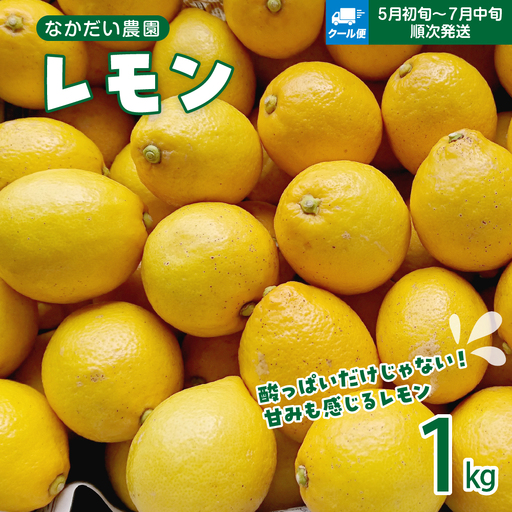 【2026年5月～発送】栽培期間中農薬不使用「レモン」 約1kg 【クール便】ku033-010-25