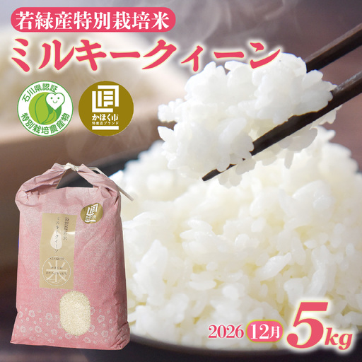 【先行予約】ミルキークイーン 5kg 【2026年12月発送】/ 新米 令和8年産 白米 精米