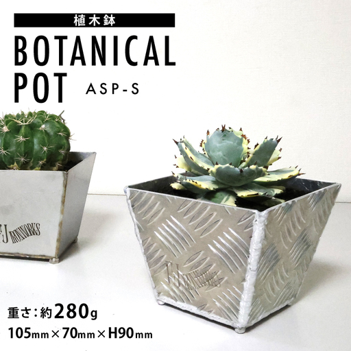 植木鉢 BOTANICAL POT ASP-S 1点
